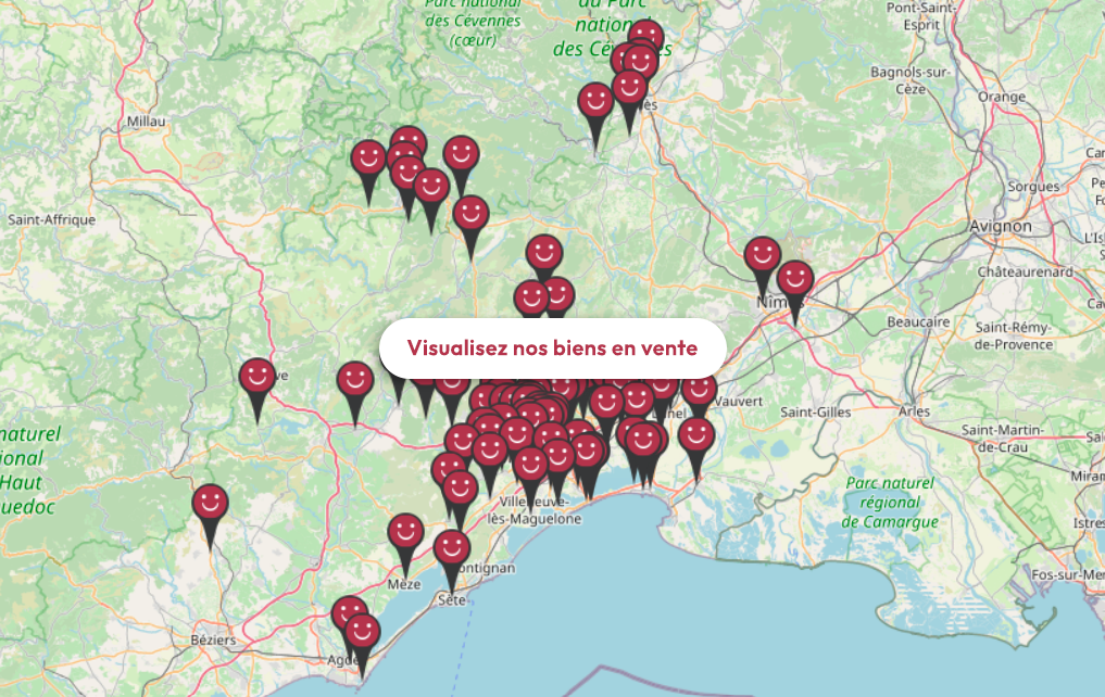 Carte des biens en vente